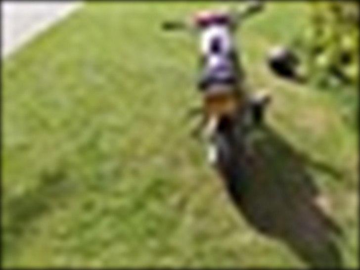 Skyteam PBR billede 10