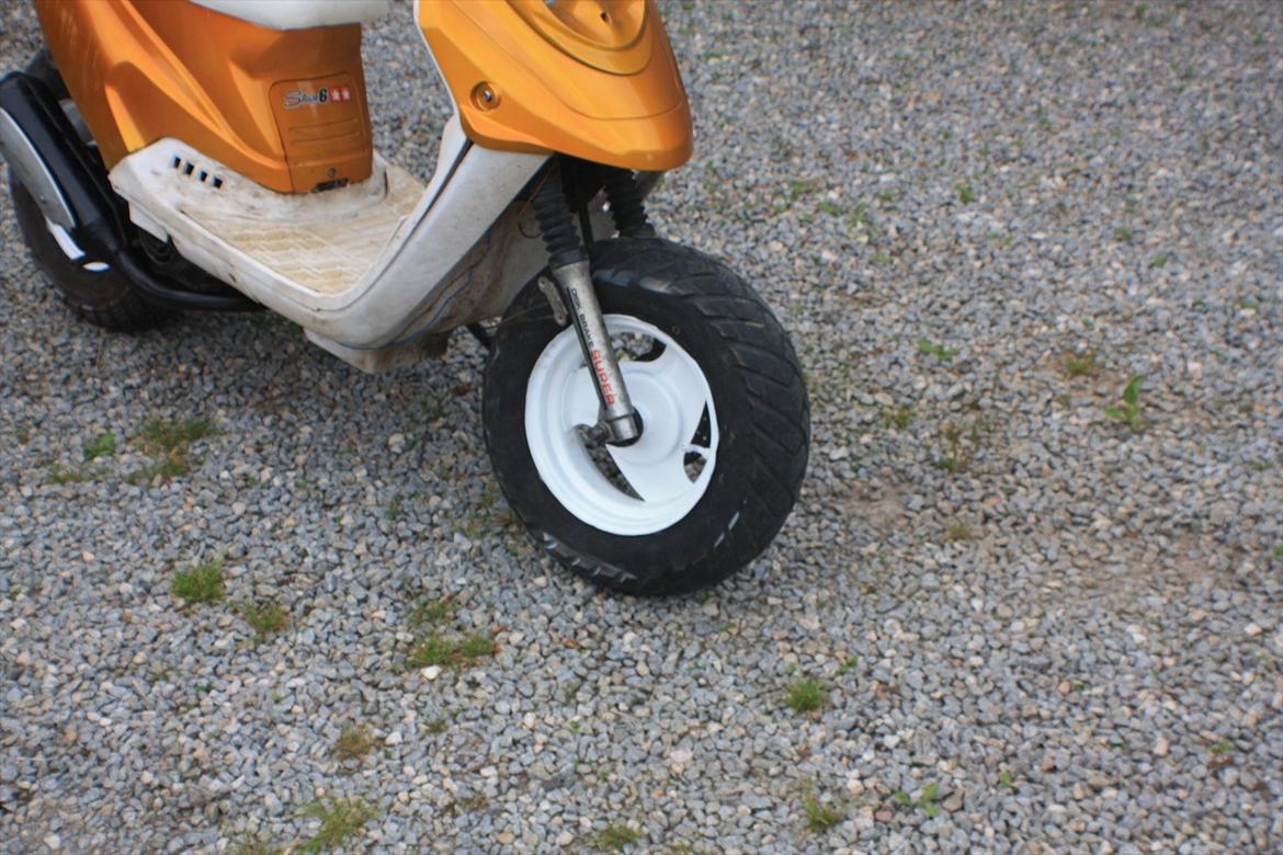 PGO Hot 'Æ vilddyr' billede 9