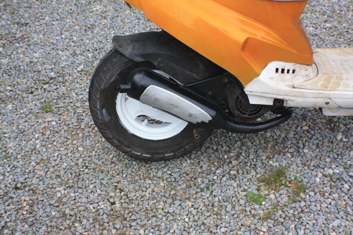 PGO Hot 'Æ vilddyr' billede 10