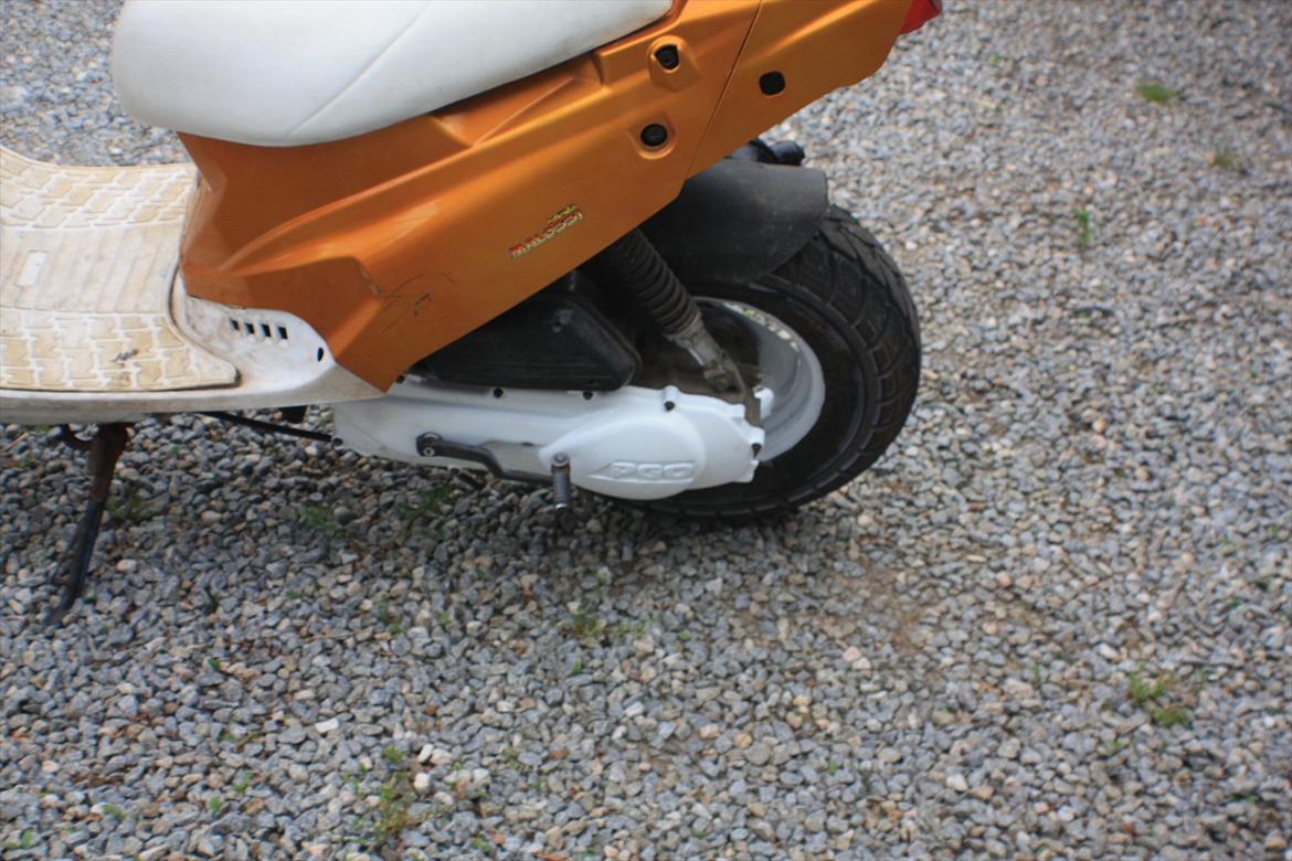 PGO Hot 'Æ vilddyr' billede 11