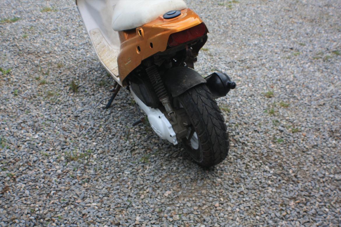 PGO Hot 'Æ vilddyr' billede 12