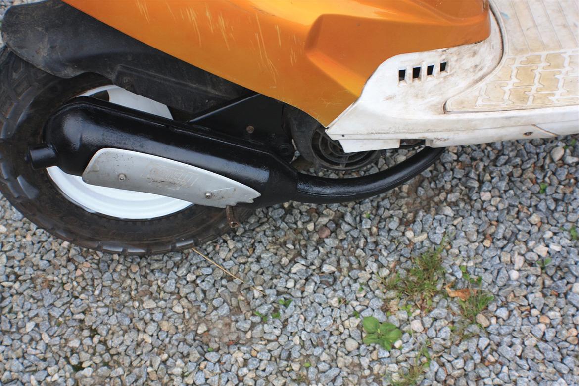 PGO Hot 'Æ vilddyr' billede 13