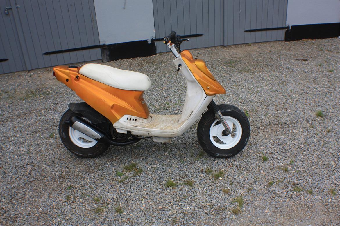 PGO Hot 'Æ vilddyr' billede 6