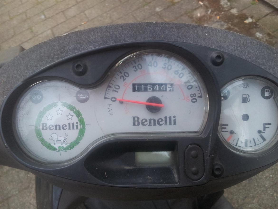 Benelli 491 billede 6