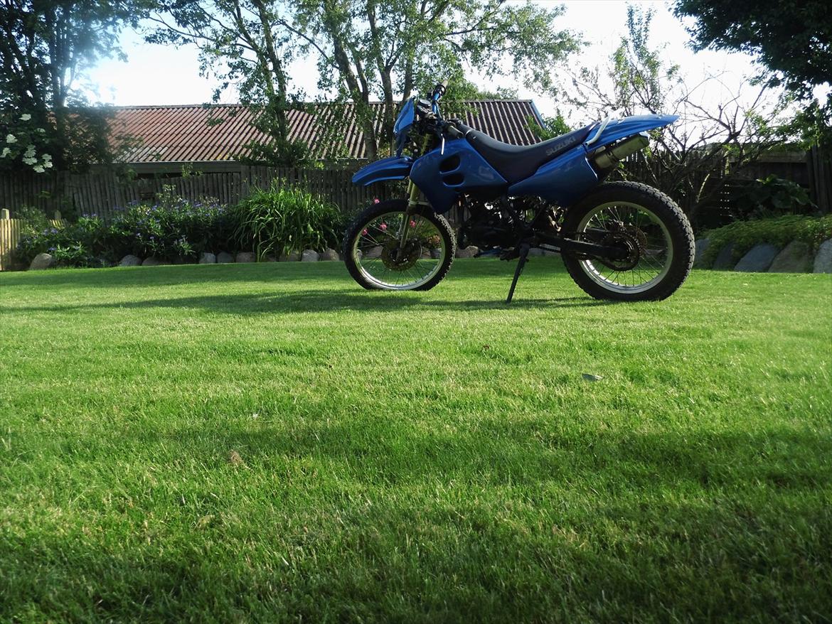 Suzuki RMX billede 7