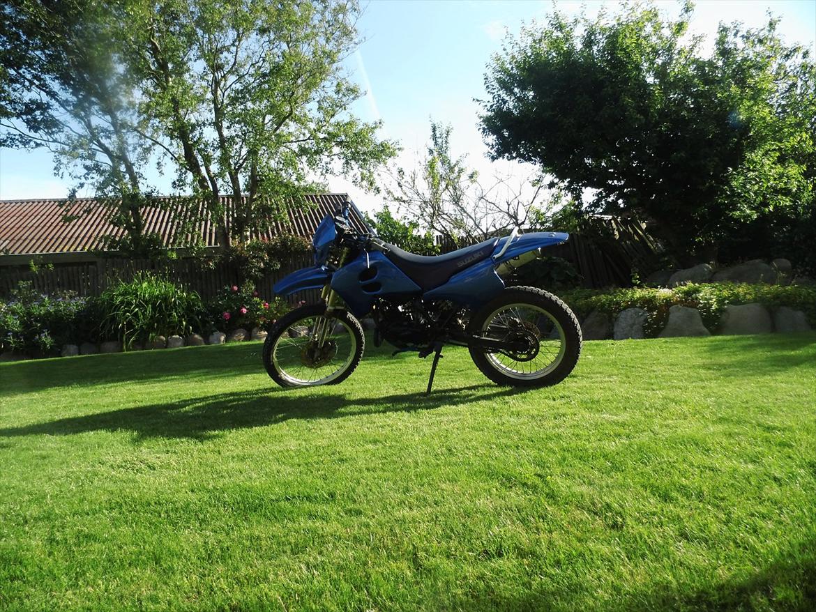 Suzuki RMX billede 15