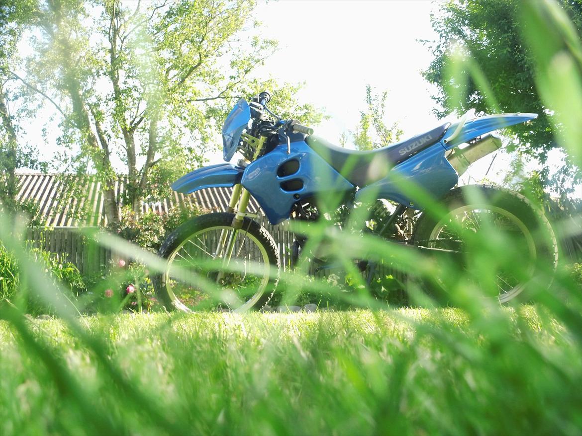 Suzuki RMX billede 18