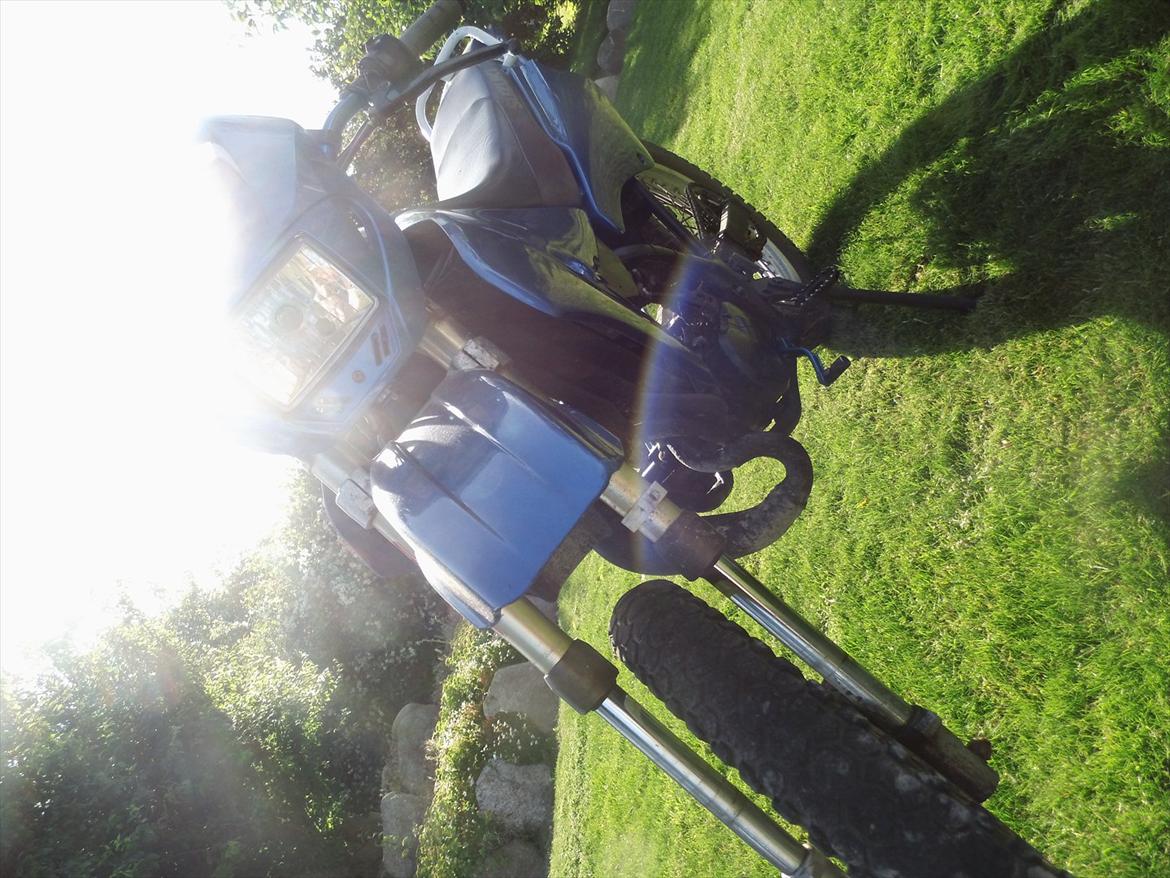 Suzuki RMX billede 19