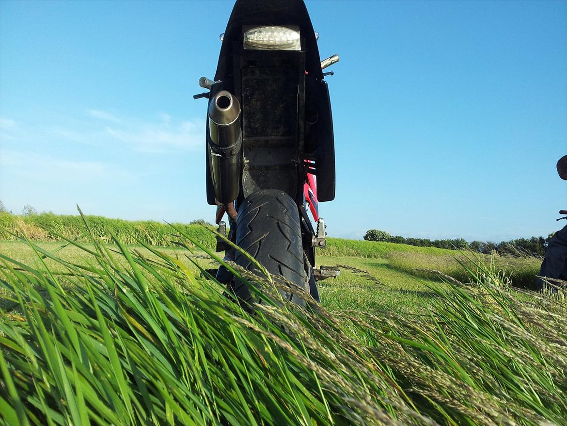 Gilera smt billede 8