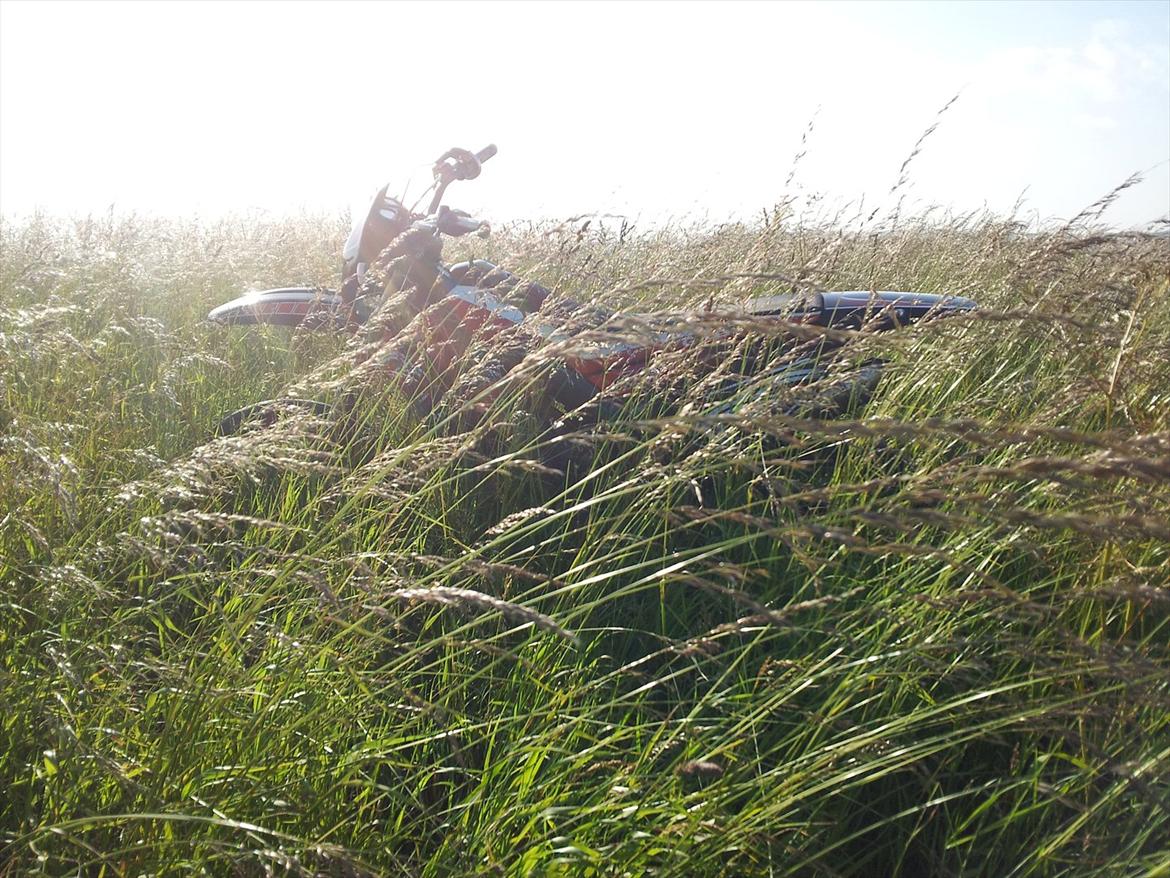 Gilera smt billede 13