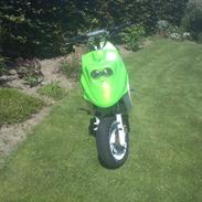 PGO Hot 50 >The Green Queen< 