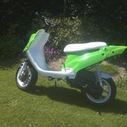 PGO Hot 50 >The Green Queen< 