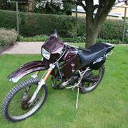 Derbi senda r