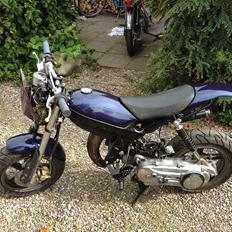 Suzuki Street Magic [Monalisa]