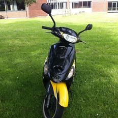 Giantco sprint sport