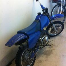 MiniBike blue berry