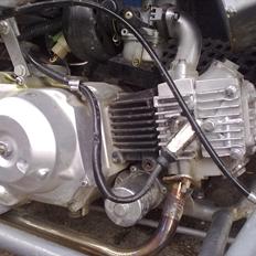 MiniBike Chopper *Bette Jens*