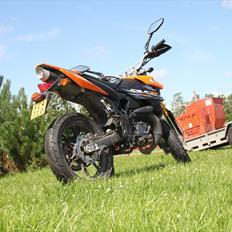 Generic Trigger sm (Trille)