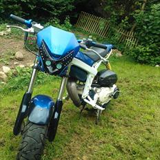 Suzuki Street Magic (S. a.  l. g.)