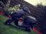 Aprilia Sonic