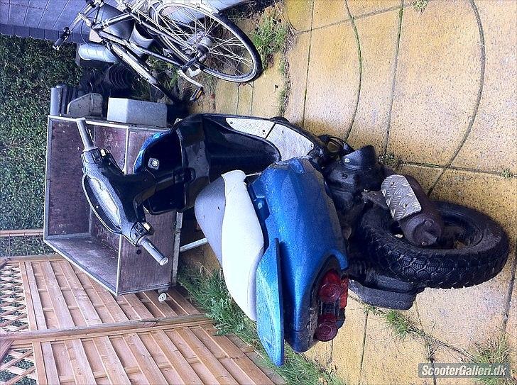 Honda SFX Repsol billede 1