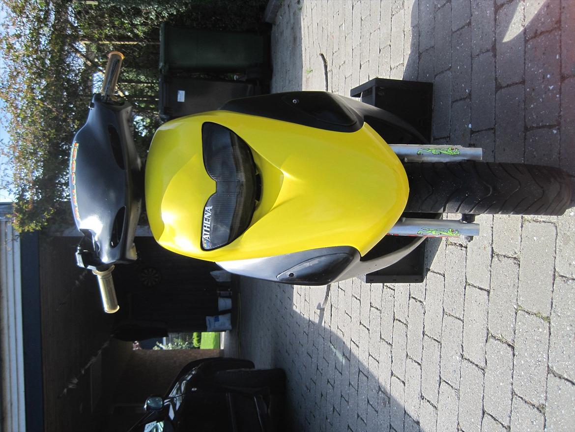 Honda sfx 47,6 Athena  billede 1