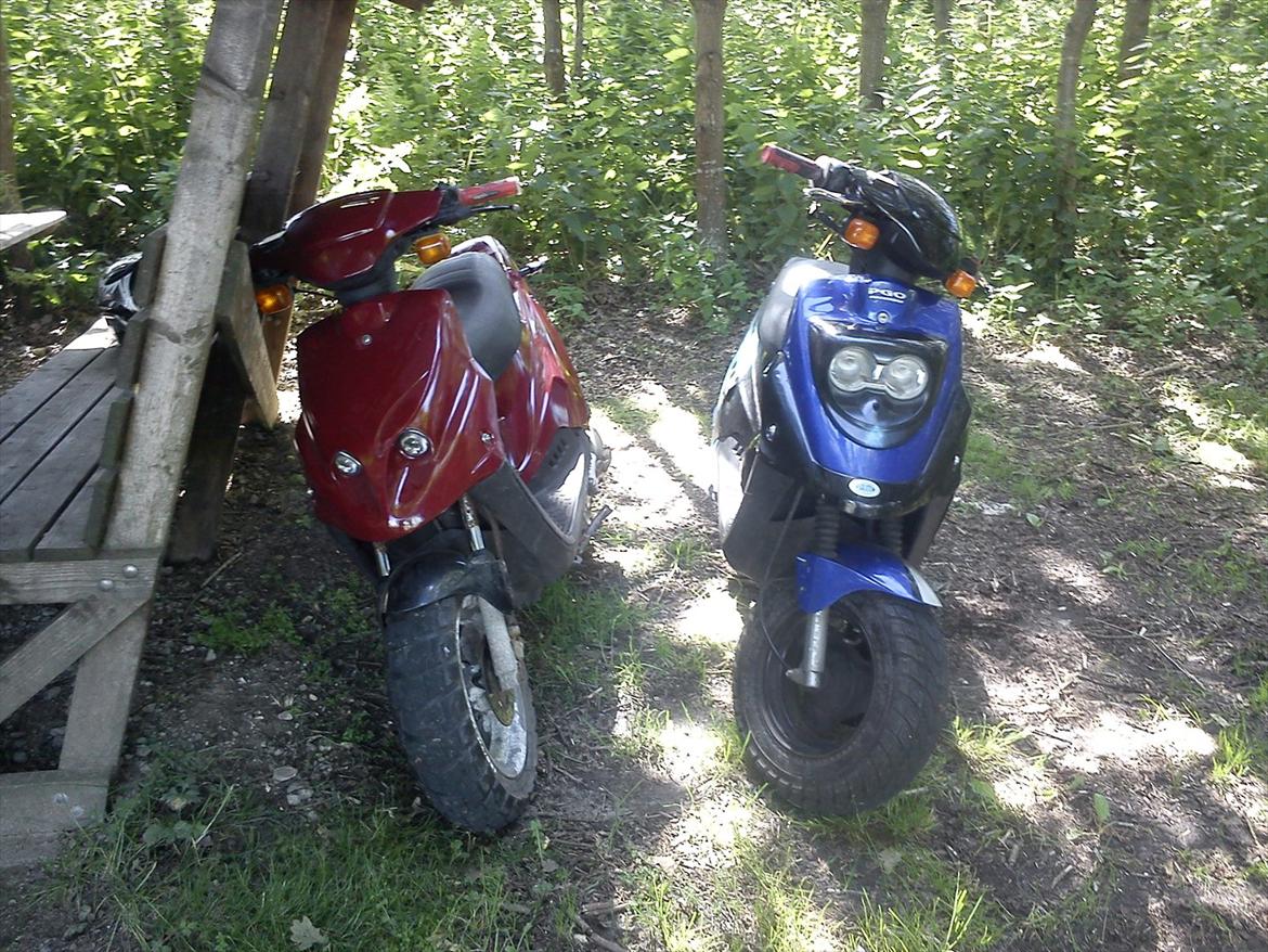 PGO Hot 50 billede 8