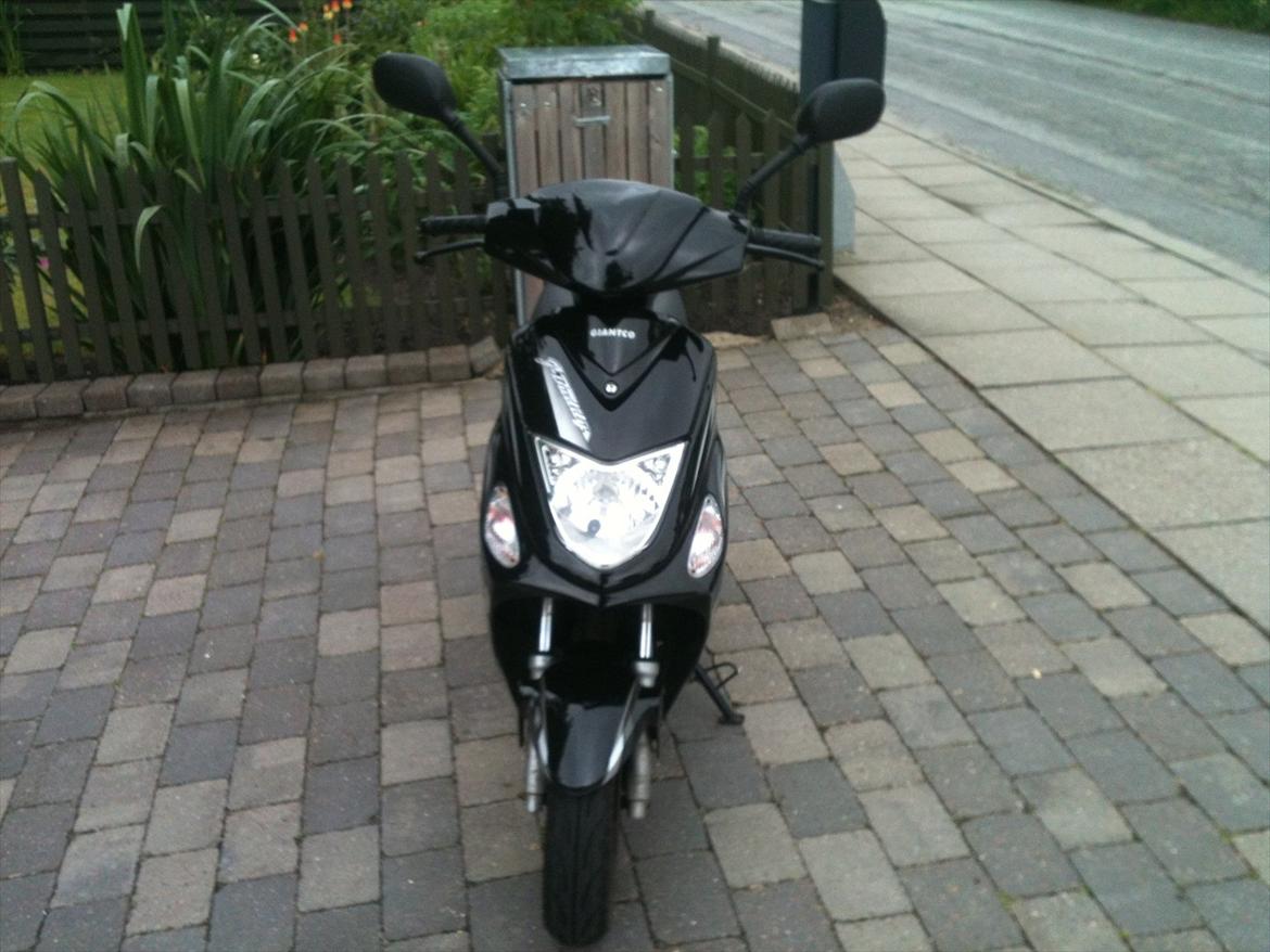 Giantco G-buddy billede 4