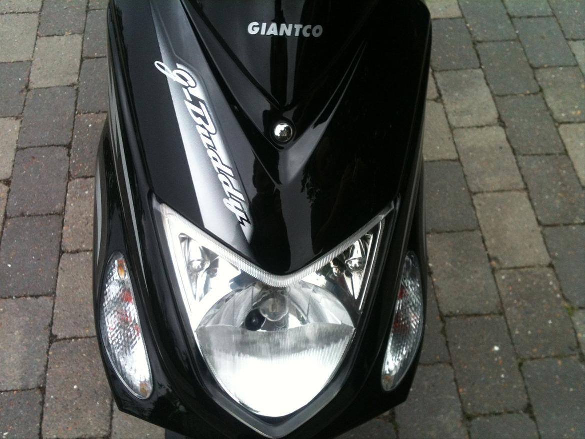 Giantco G-buddy billede 13