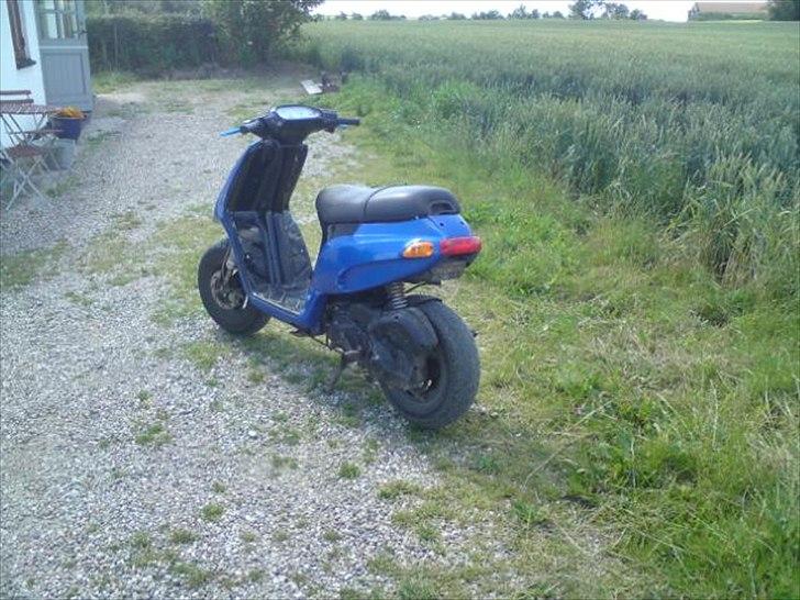 Piaggio Typhoon billede 2