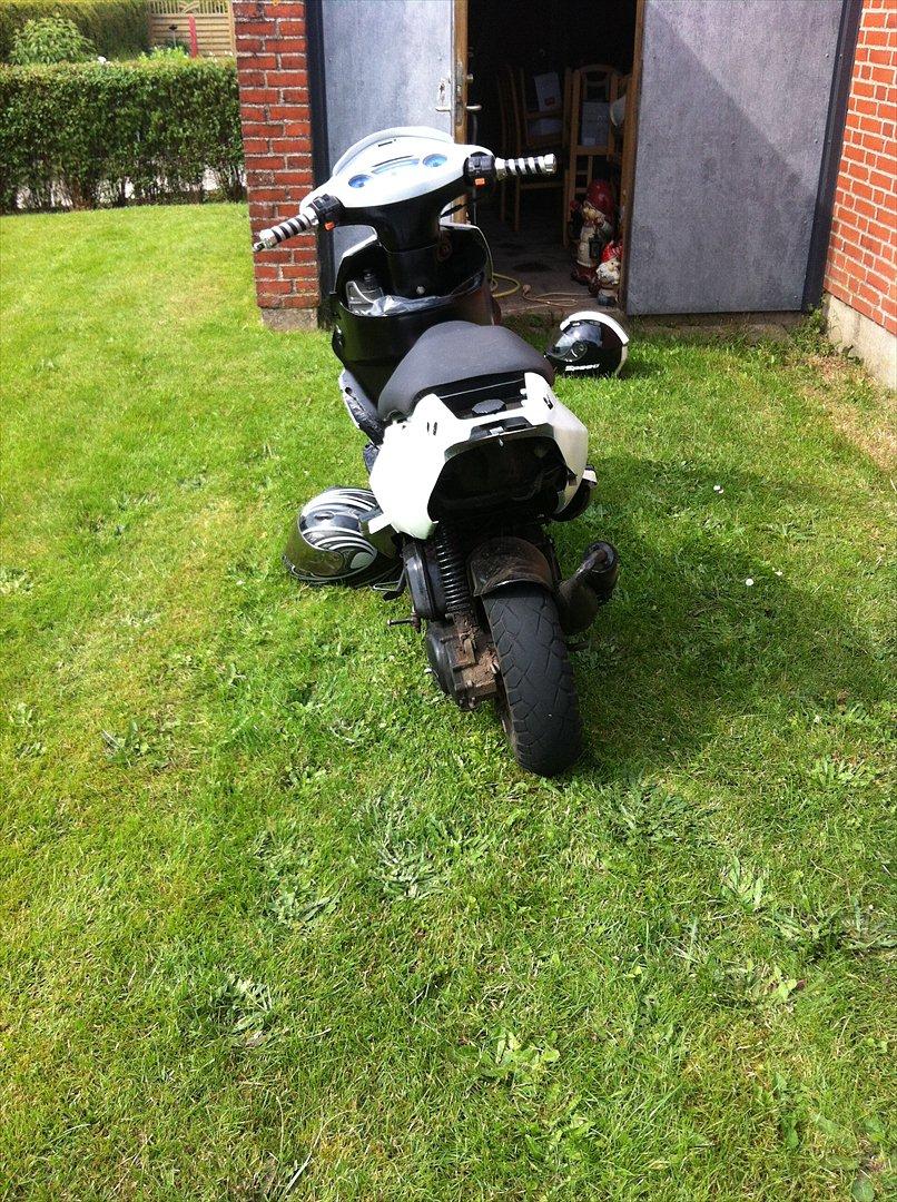 PGO Dr Big billede 1