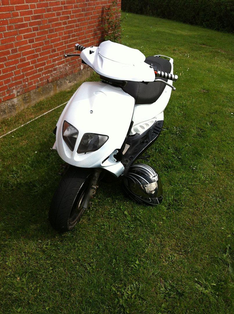 PGO Dr Big billede 4