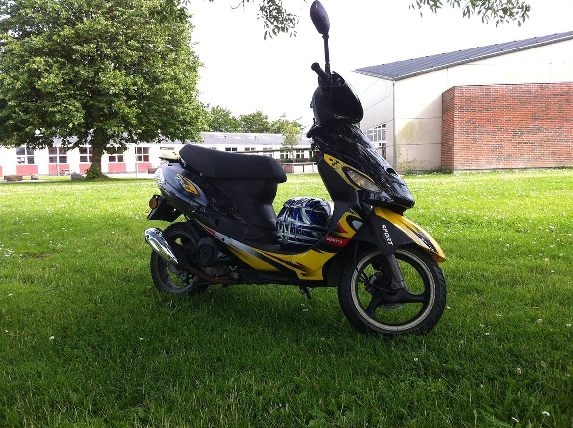 Giantco sprint sport billede 2