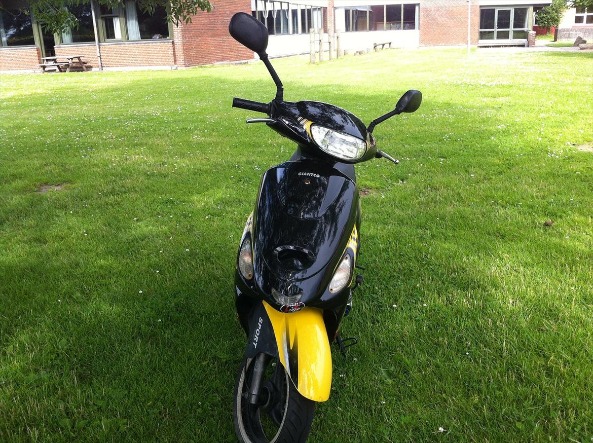 Giantco sprint sport billede 3