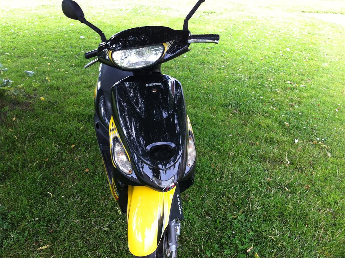 Giantco sprint sport billede 11