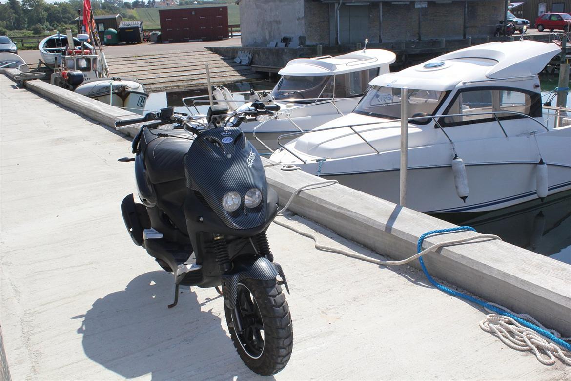 PGO PMX Naked Carbon AC billede 16