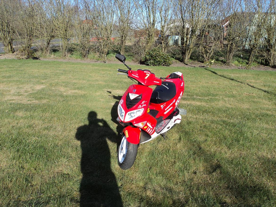 Peugeot Speedfight 2 wrc 307 - Scooterens nuværende stand
 billede 7