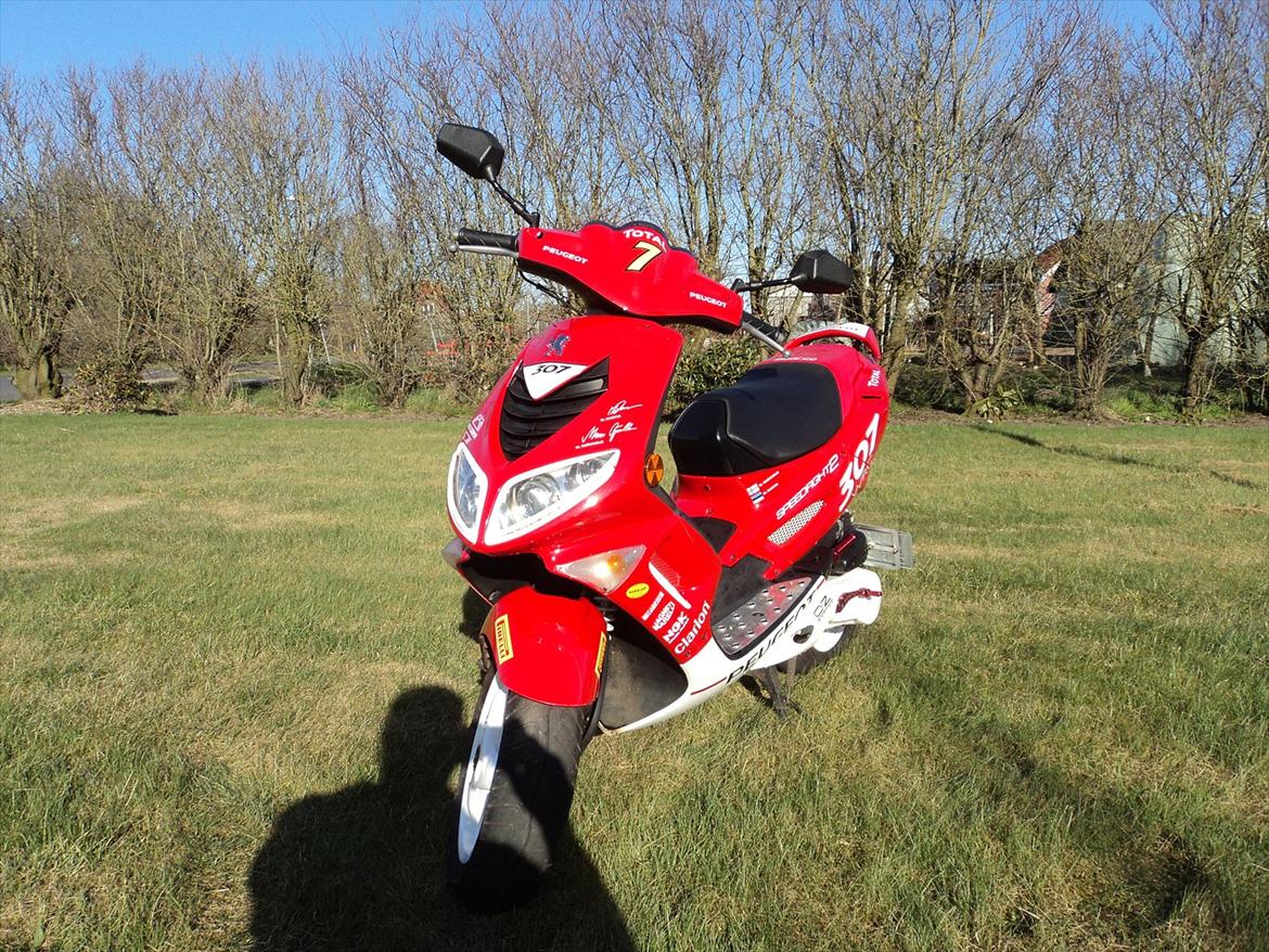 Peugeot Speedfight 2 wrc 307 - Scooterens nuværende stand billede 8