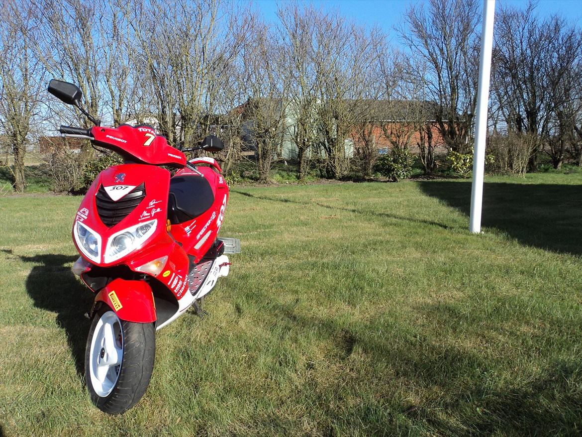 Peugeot Speedfight 2 wrc 307 - Scooterens nuværende stand billede 9