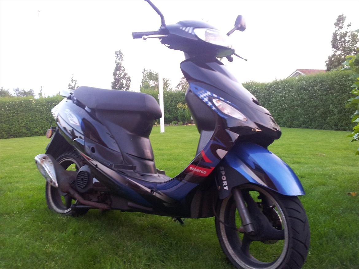 Giantco Sprint Sport 45 billede 1