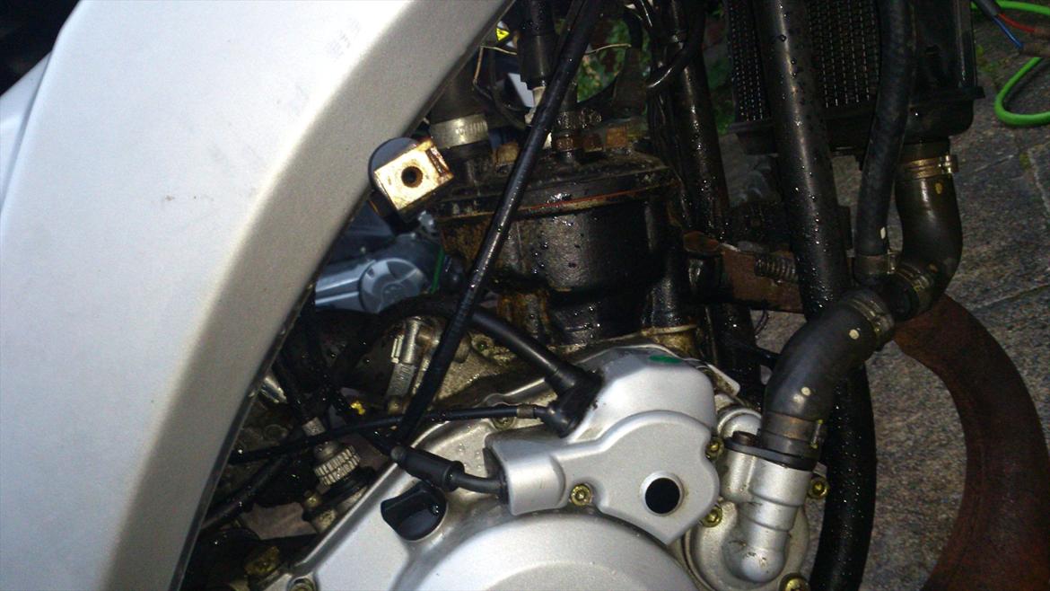 Aprilia rs 50 billede 6