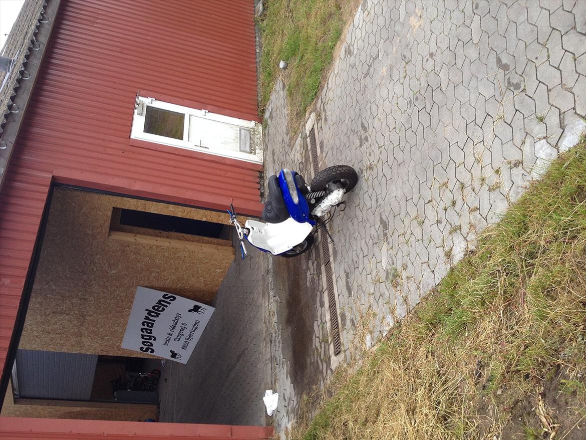 Gilera Stalker billede 11