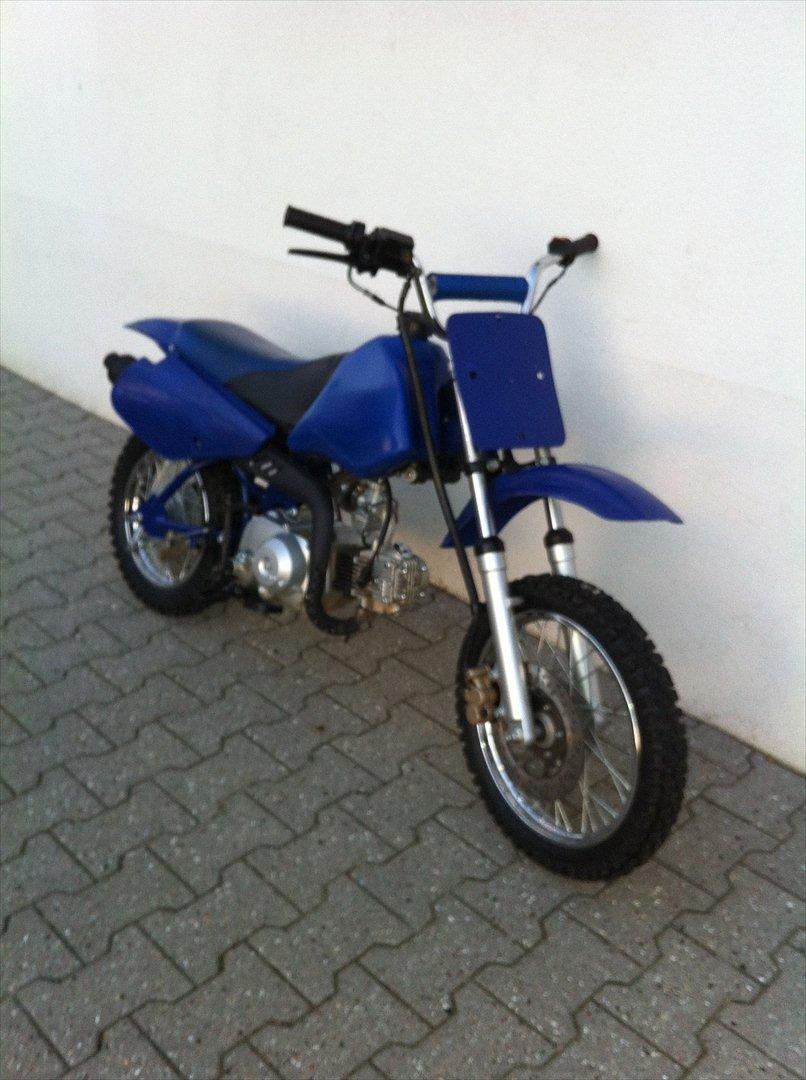 MiniBike blue berry billede 1