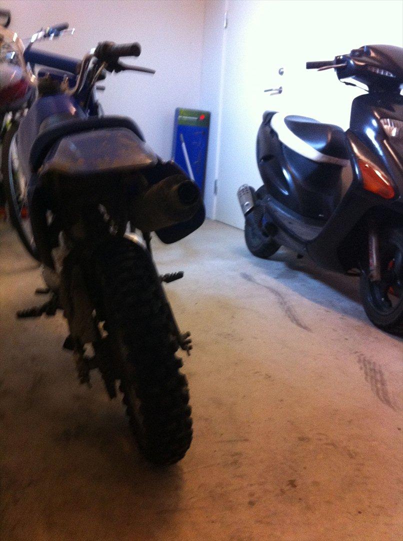 MiniBike blue berry billede 4