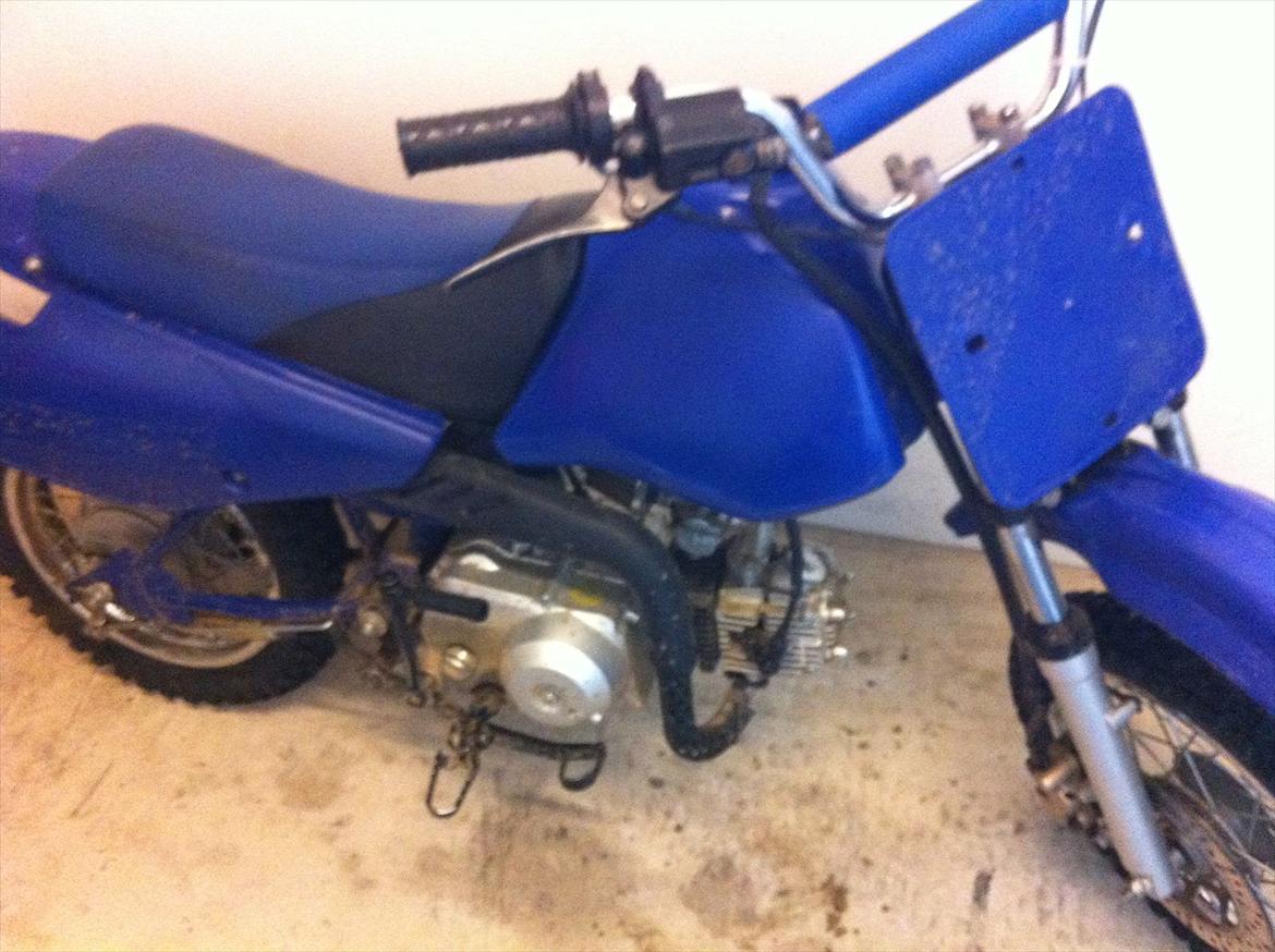 MiniBike blue berry billede 5