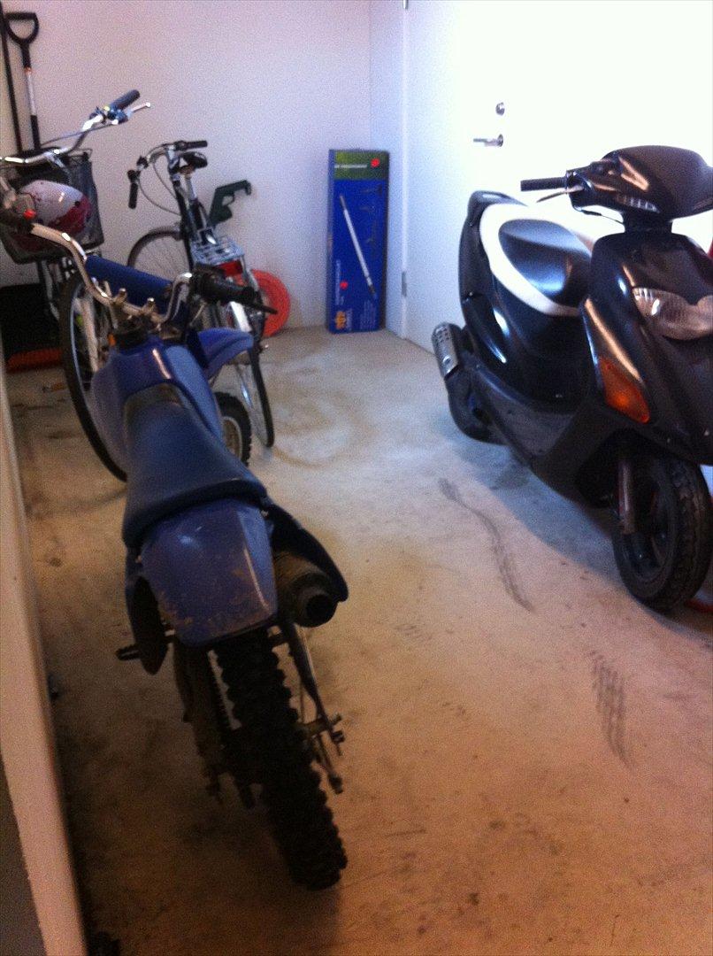 MiniBike blue berry billede 6