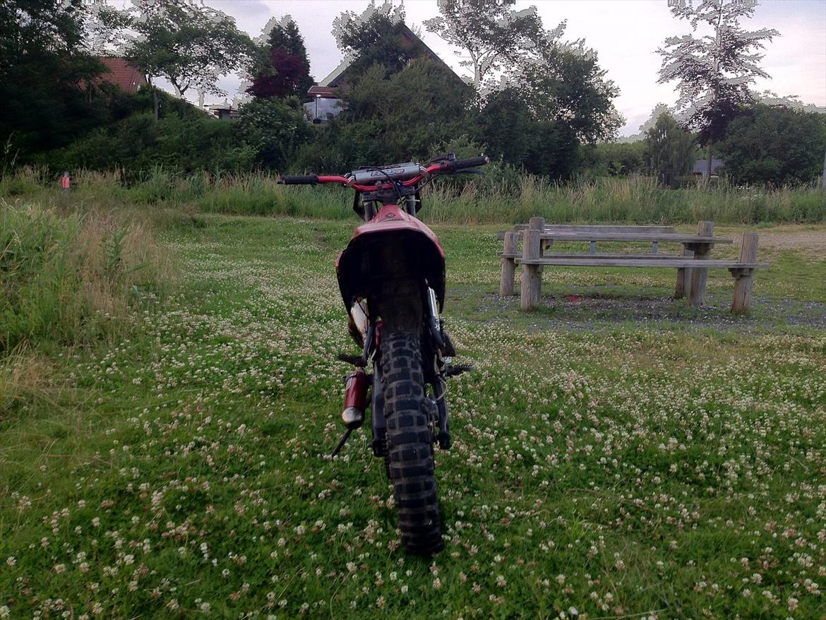 Gilera rcr billede 5