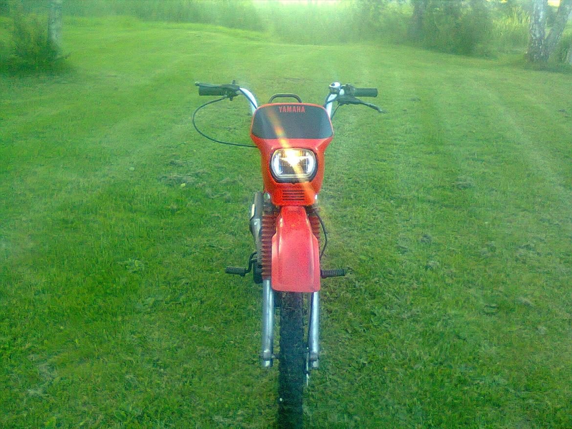 Yamaha sting billede 3