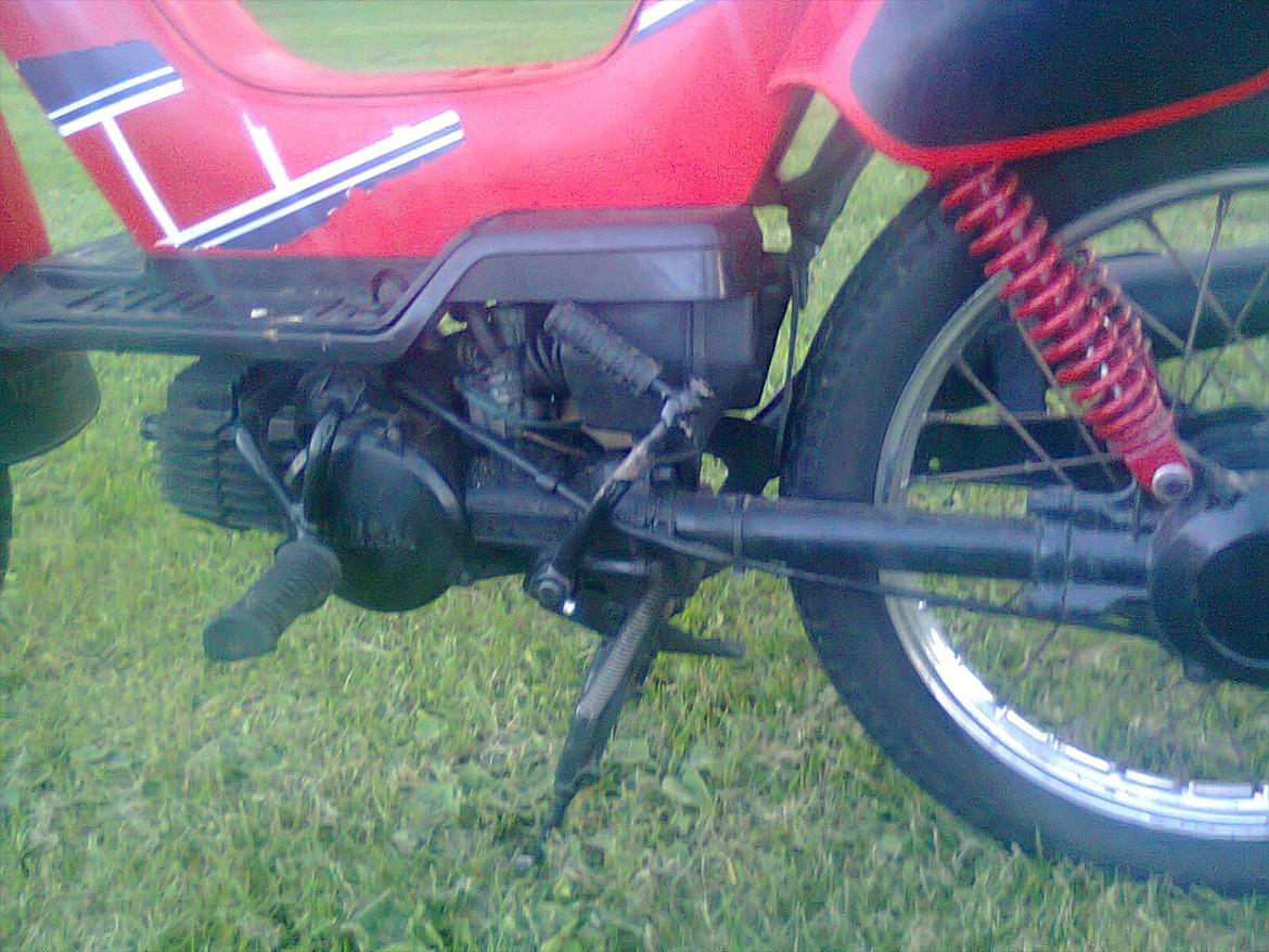 Yamaha sting billede 8