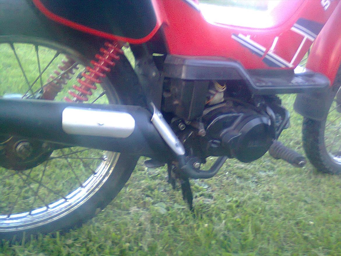 Yamaha sting billede 7